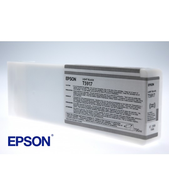 Epson Light Black StylusPro 11880