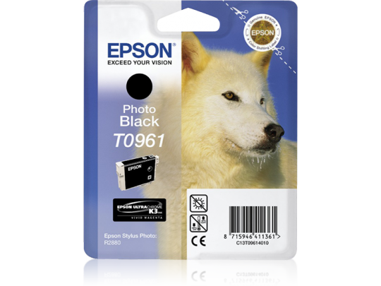 Epson Photo Black R2880