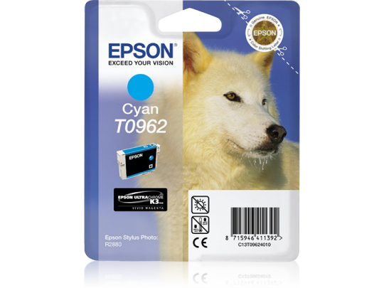 Epson Cyan R2880