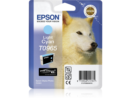 Epson Light Cyan R2880