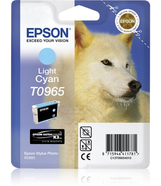 Epson Light Cyan R2880