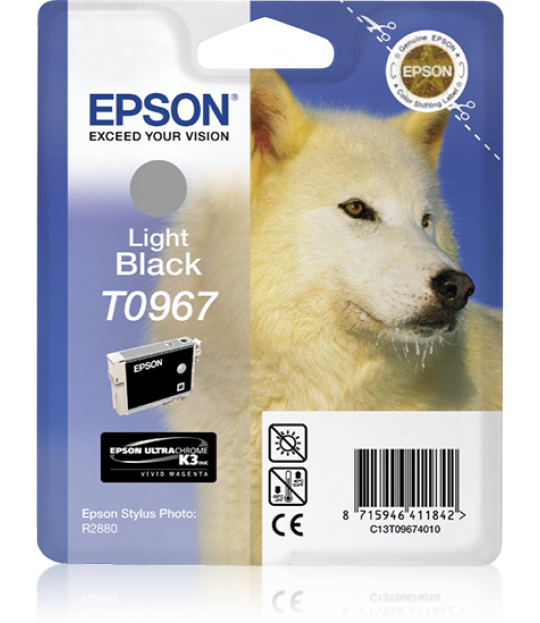 Epson Light Black R2880