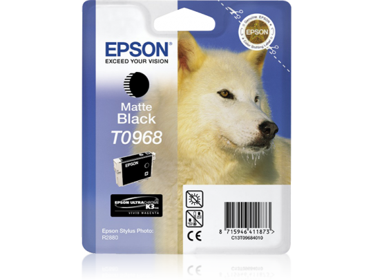 Epson Matte Black R2880