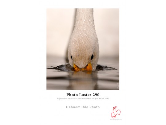 Photo Luster 290gsm rull 24