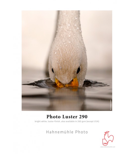 Photo Luster 290gsm rull 44